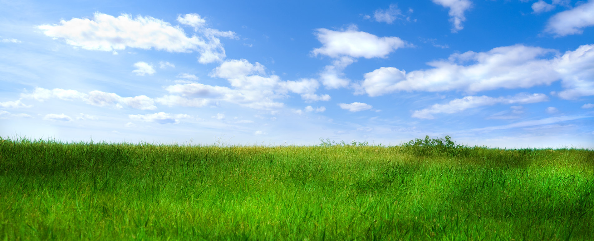 Banner - Harald Lenz